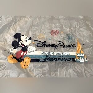 ☔️Adult Disney Rain Poncho – Classic & Fun 🏰